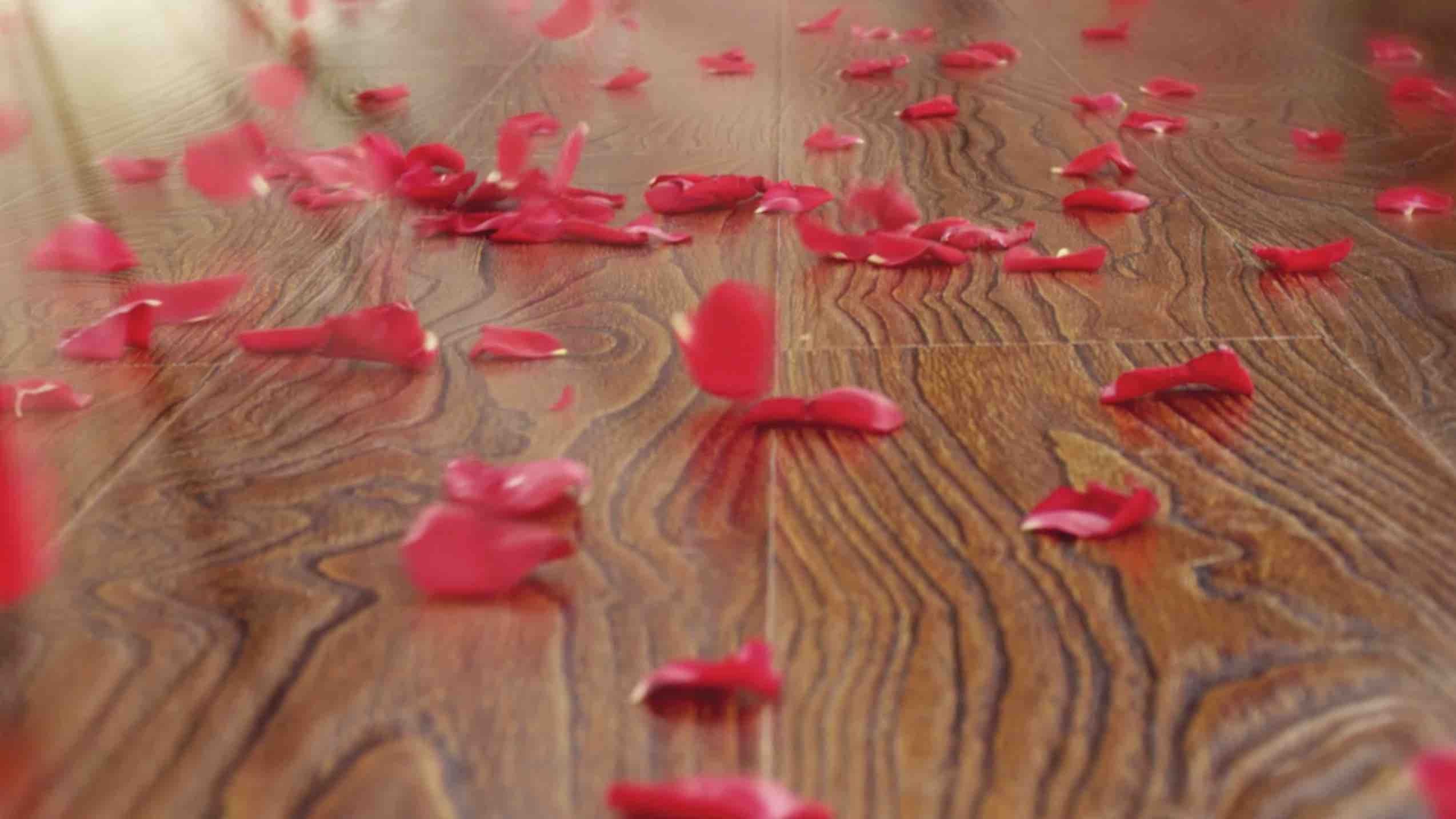 三杉地板TVC廣告片